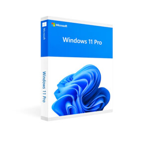 Windows 11 Pro FPP