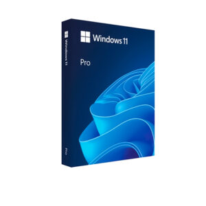 Windows 11 Pro Upgrade
